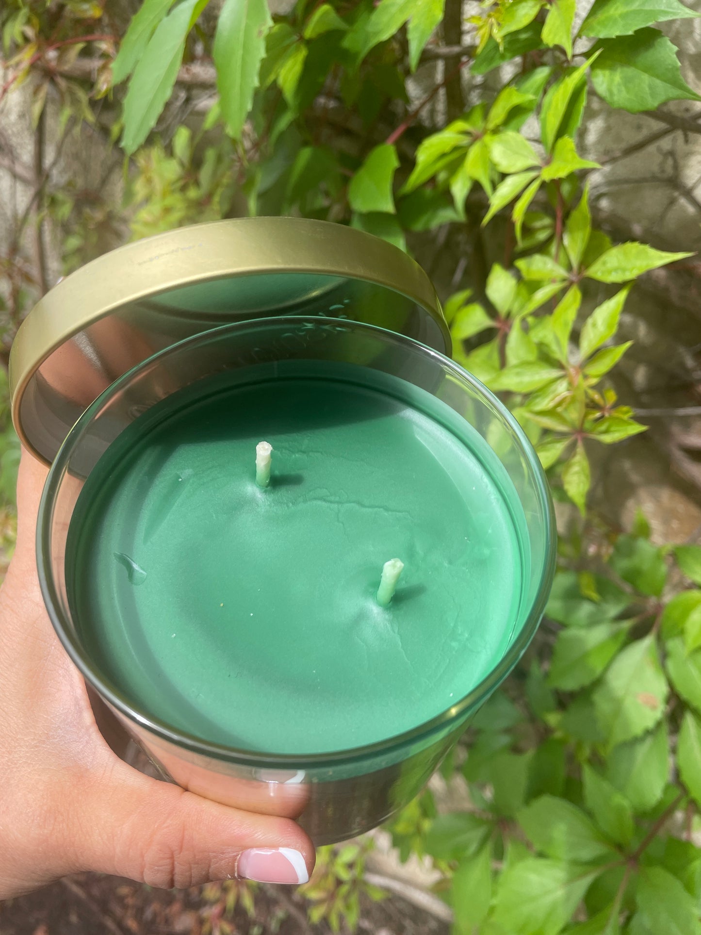 Vela de soja de edición limitada Opalhouse Balsam Fir con aceites esenciales 15,1 OZ