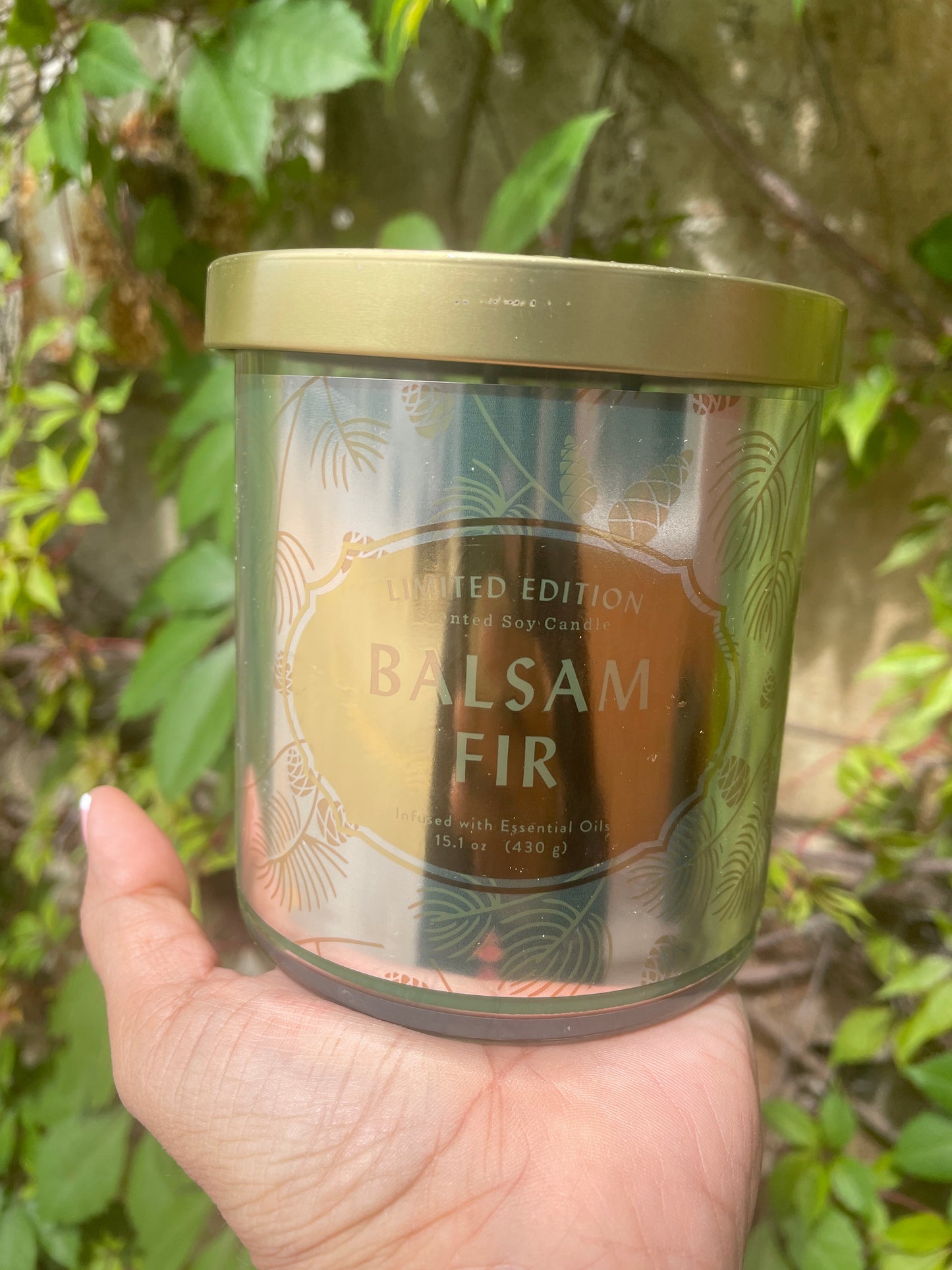 Vela de soja de edición limitada Opalhouse Balsam Fir con aceites esenciales 15,1 OZ