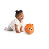 BABY EINSTEIN juguete Tinker's Crawl Along Songs