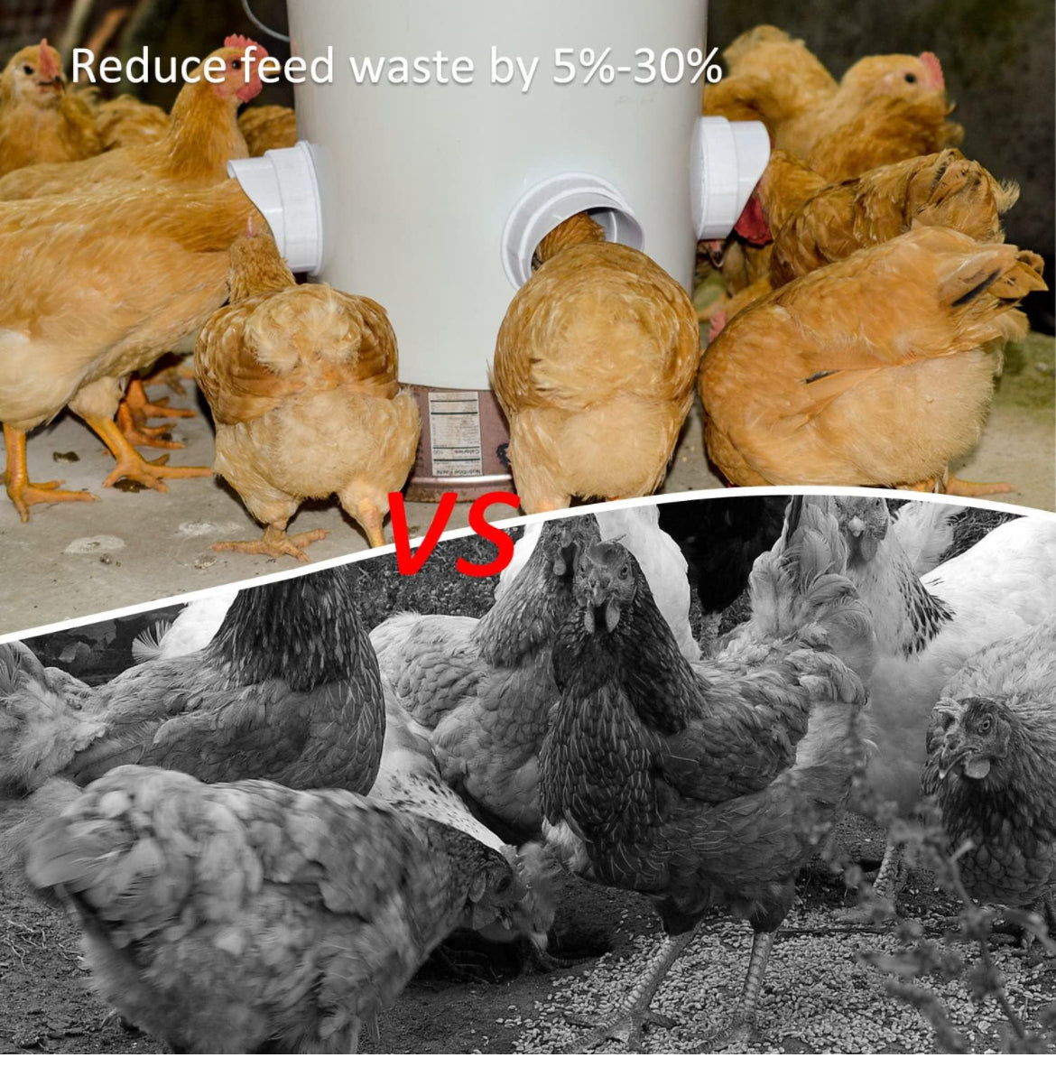 Comedero y bebedero automático para pollos de bricolaje, sin desperdicios, kit de alimentador de aves de corral para cubos, barriles, canales, 6 puertos y 6 tazas de agua