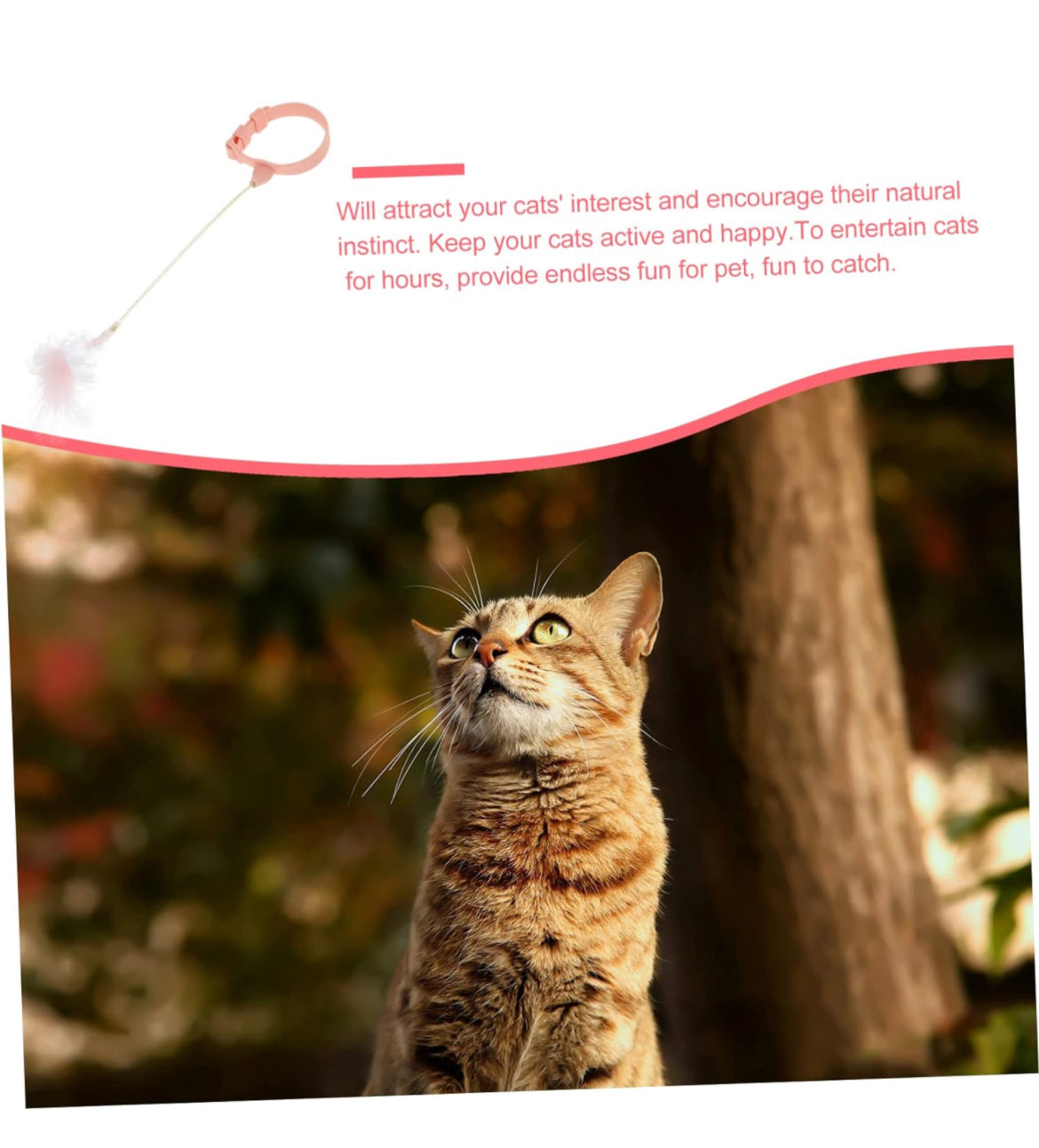NOLITOY 3 piezas .Teaser Ejercicio de gato Juguete de palo, Bailarín de gato Varilla de entrenamiento de gato Collar de mascota Princesa Pecera Decoraciones Juguetes de masticar Juguete Varita de gato Deportes Cuerda ,rosa artificial