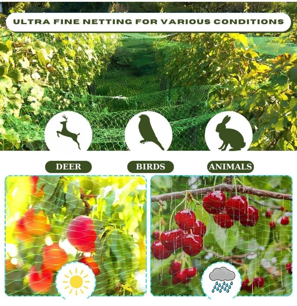 Red de aves ADAGILE-AvianGuard para jardín (13x20 pies) - ¡El apoyo a las plantas protege los árboles frutales, las verduras y las plantas con una red de jardín de alta resistencia que protege contra aves, ciervos, ardillas y más!