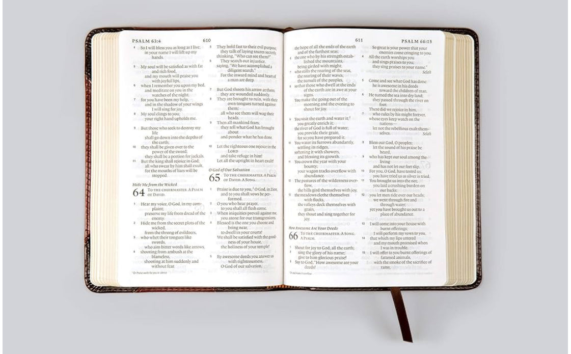 Biblia compacta de impresión grande ESV (impresión tipo léxico de 8 pt) (TruTone, Berry, Diseño floral)