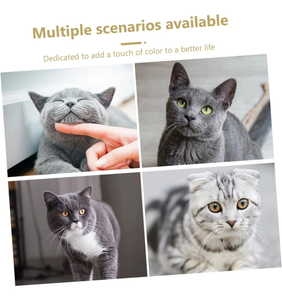 NOLITOY 3 piezas .Teaser Ejercicio de gato Juguete de palo, Bailarín de gato Varilla de entrenamiento de gato Collar de mascota Princesa Pecera Decoraciones Juguetes de masticar Juguete Varita de gato Deportes Cuerda ,rosa artificial