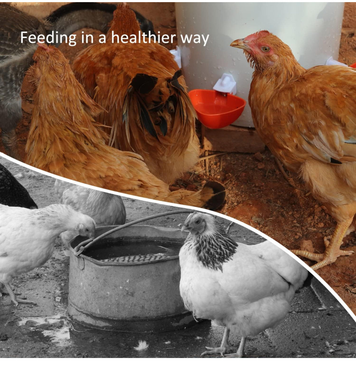 Comedero y bebedero automático para pollos de bricolaje, sin desperdicios, kit de alimentador de aves de corral para cubos, barriles, canales, 6 puertos y 6 tazas de agua