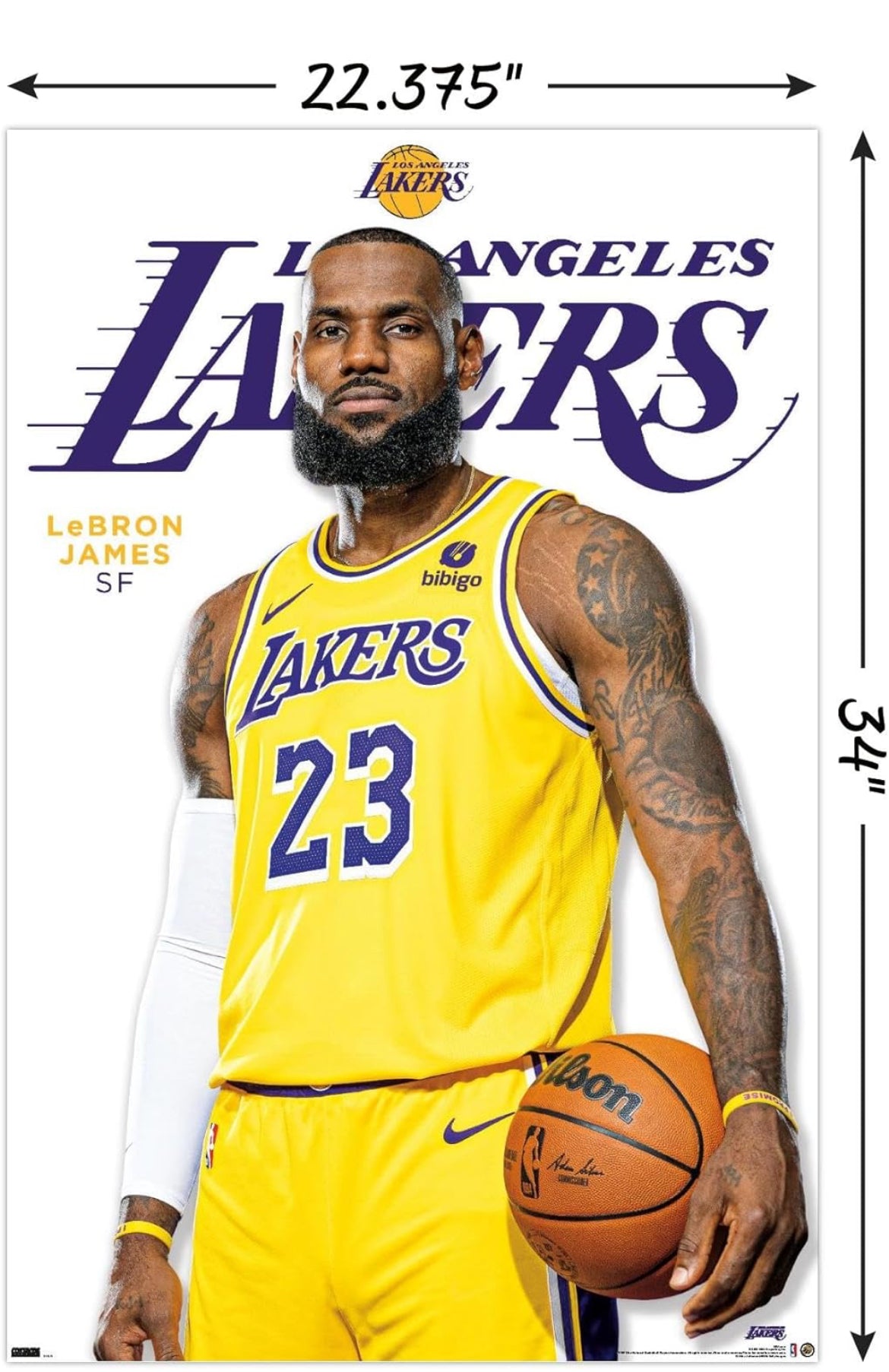 Trends International Póster de pared de la NBA Los Angeles Lakers - LeBron James de la serie 23