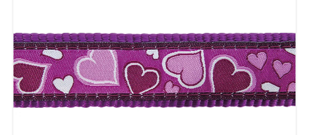 Collar para perro Breezy Love Morado