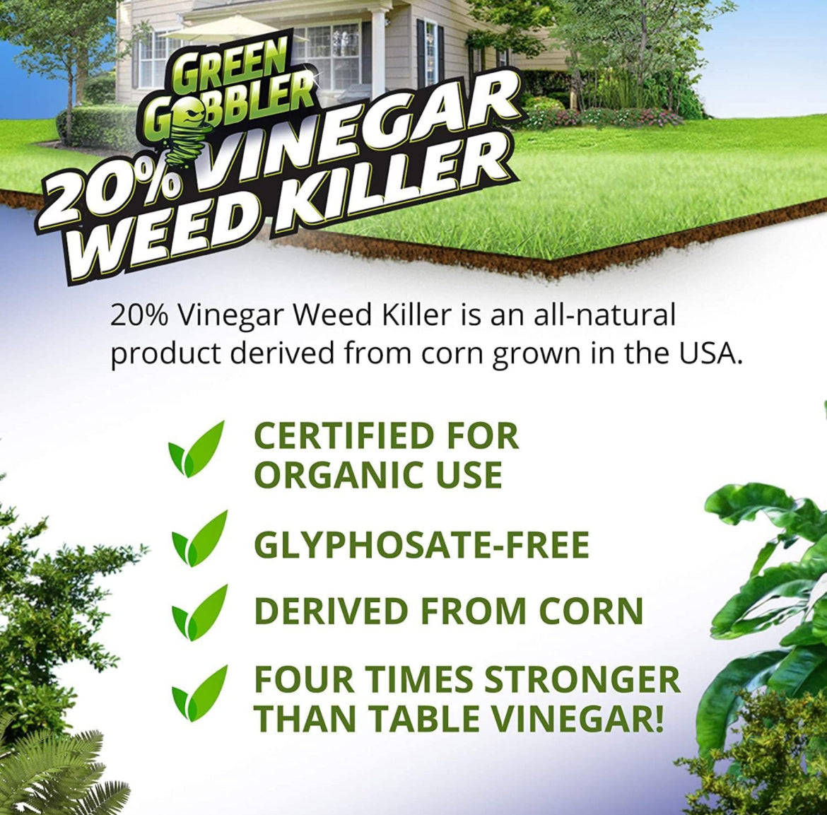 Green Gobbler 20% vinagre herbicida y hierba | Natural y orgánico | 1 galón | Herbicida libre de glifosato