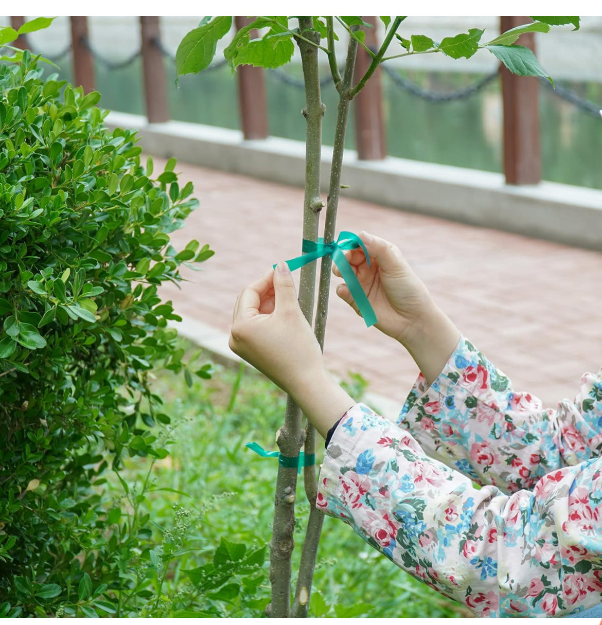 Cinta elástica de PVC para jardín, cinta de amarre reutilizable, cinta de vinilo para plantas de interior y exterior, 2 rollos de 147 pies