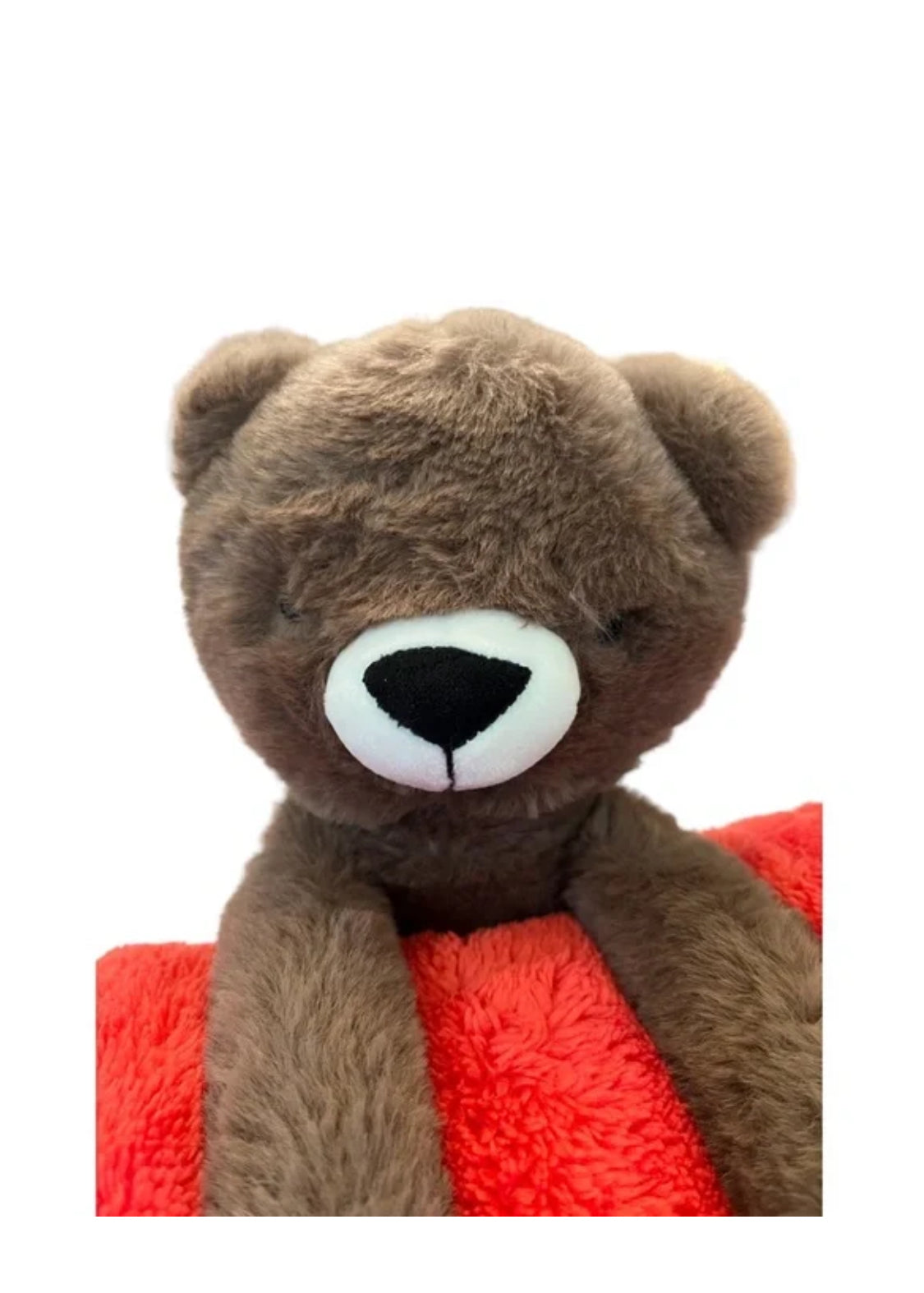 Almohada y manta de oso Nwot Pillowfort
