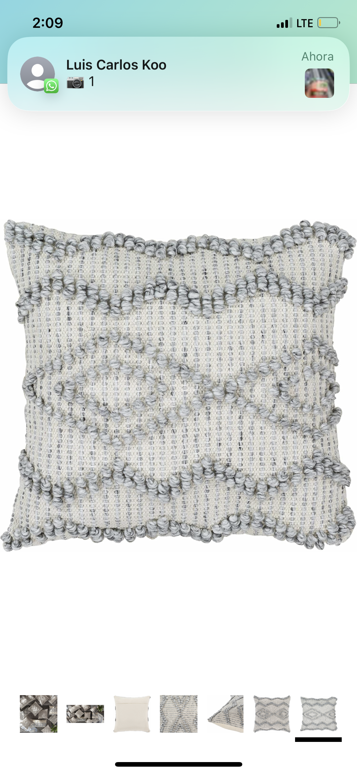 Hauteloom Swisher - Funda de almohada de 20 x 20 pulgadas