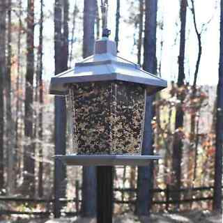 Pennington, Gray Plastic Hopper Chickadee Wild Bird Feeder, 2.5 Lb. Capacity