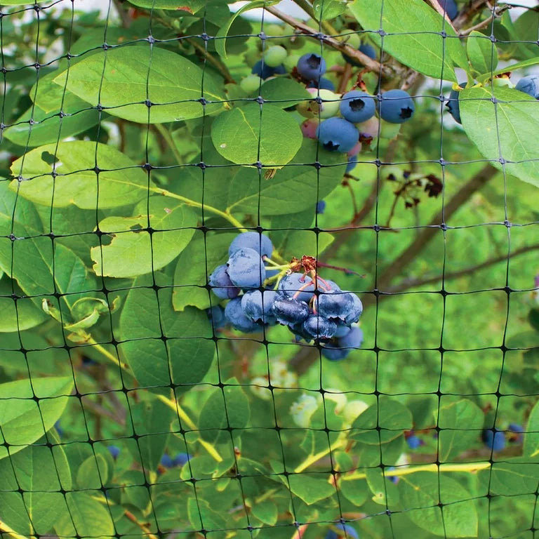 Expert Gardener 7 pies H x 100 pies L 3/4 pulgadas Black Deer Netting