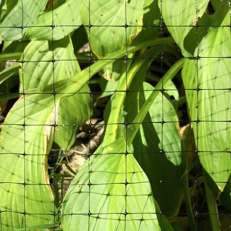 Expert Gardener 7 pies H x 100 pies L 3/4 pulgadas Black Deer Netting