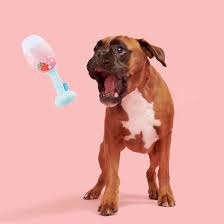 Bark's Rosé Chompagne Flauta Día de San Valentín Squeaky Peluche para perro