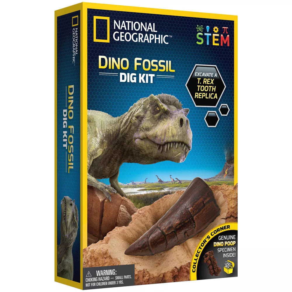Dino Fossil