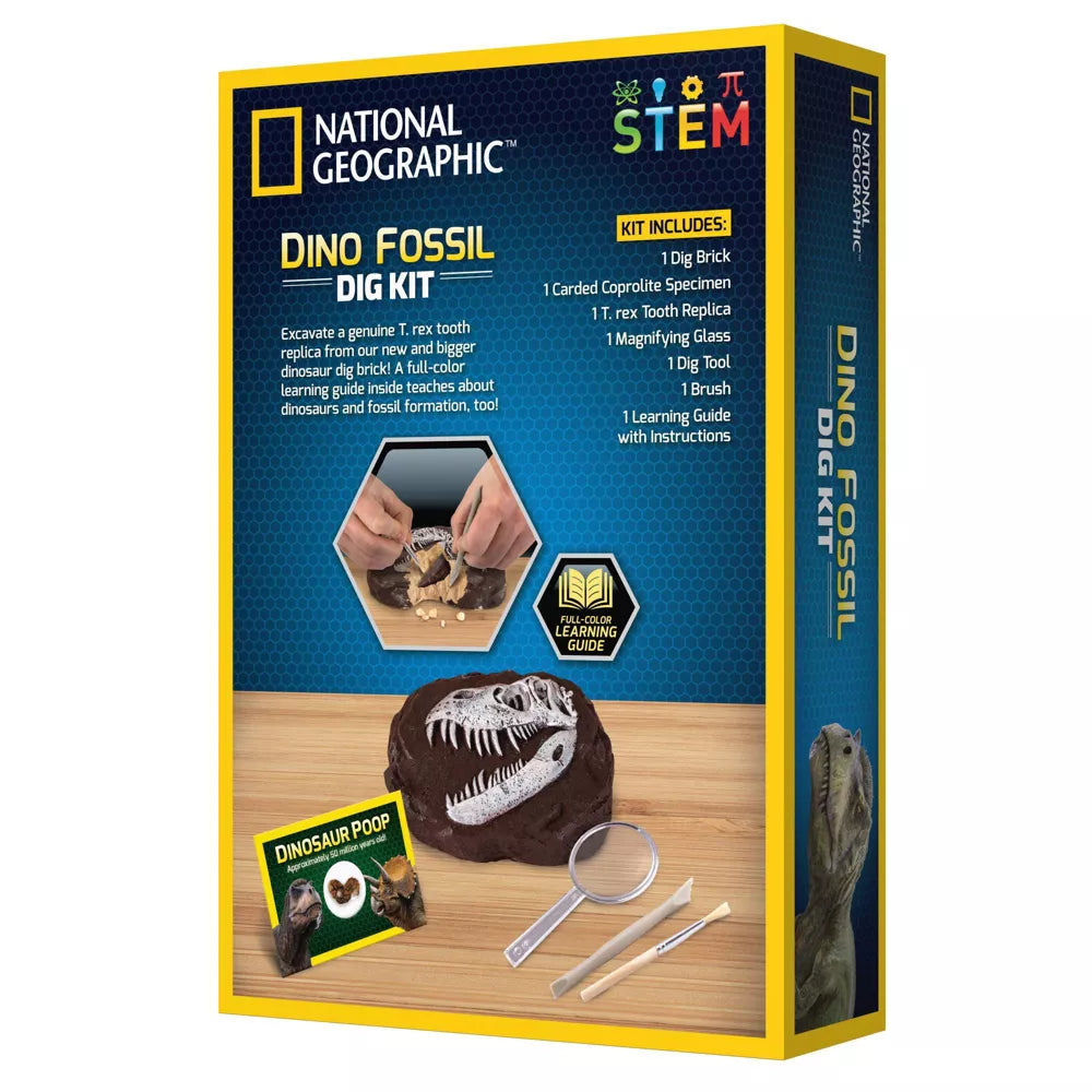 Dino Fossil