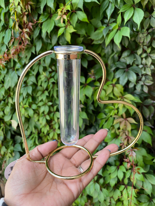Florero - corazon - plant propagation