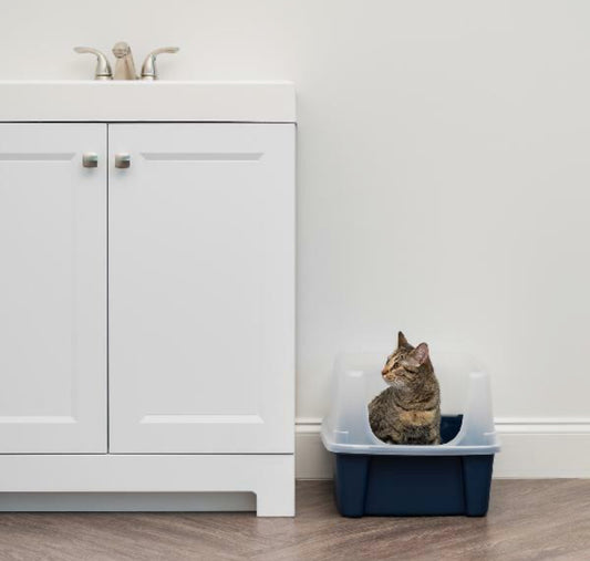 Caja de arena grande para gatos con lados altos, bandeja de arena para gatos de entrada baja para gatos de interior