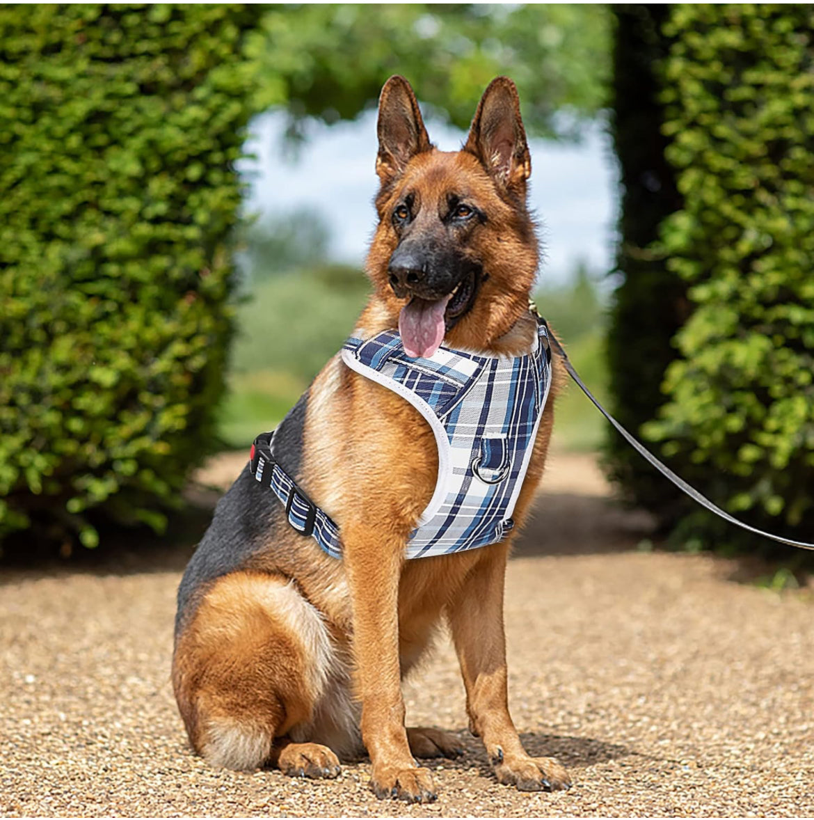 Arnés sin tirones para perro, con correa y cuello, arnés ajustable de chaleco reflectante Oxford sin estrangulamiento, arnés suave para perros pequeños, medianos y grandes, arnés de fácil control (azul a cuadros, L)