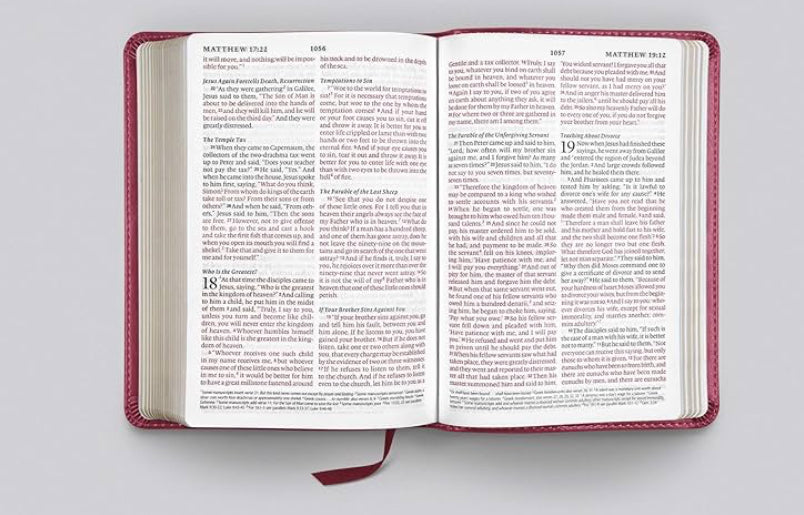 Biblia compacta de impresión grande ESV (impresión tipo léxico de 8 pt) (TruTone, Berry, Diseño floral)