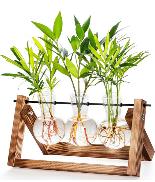 Terrario para plantas con soporte de madera, estaciones de propagación, maceta de aire de vidrio, soporte giratorio de metal para interiores, plantas hidropónicas vivas, oficina, hogar, jardín,