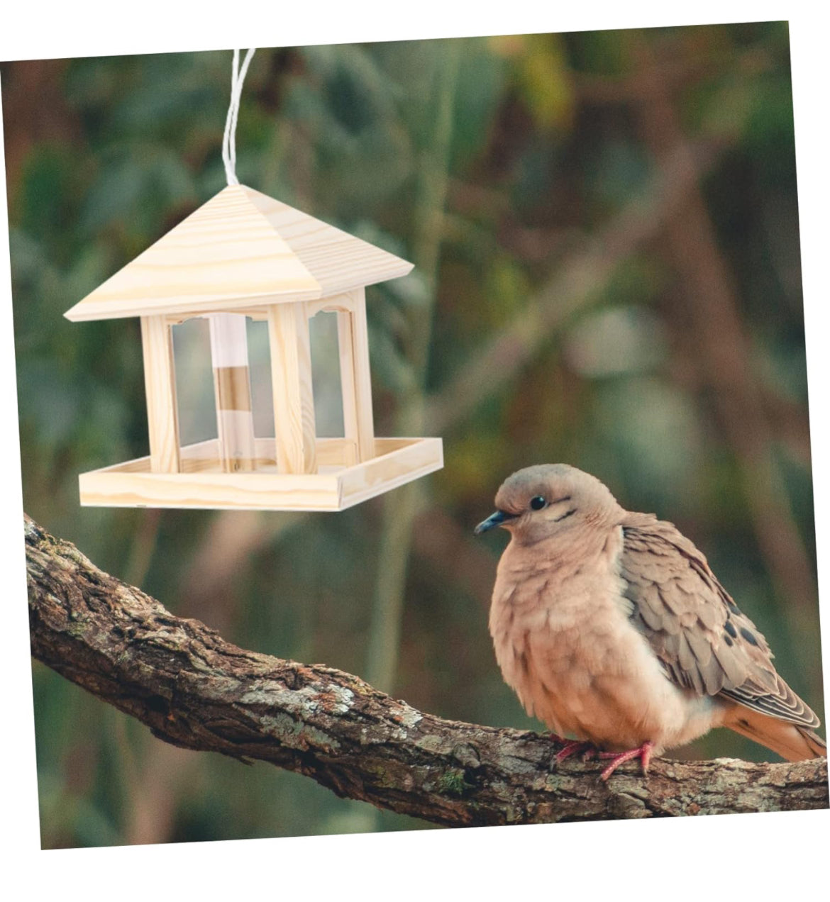 Comedero para pájaros colgante 1 pieza Comedero para pájaros al aire libre Comedero colgante al aire libre Comedero colgante para pájaros Contenedor de comida para pájaros Decoraciones de comedero para pájaros Alimentador de alimentos para pájaros Aliment