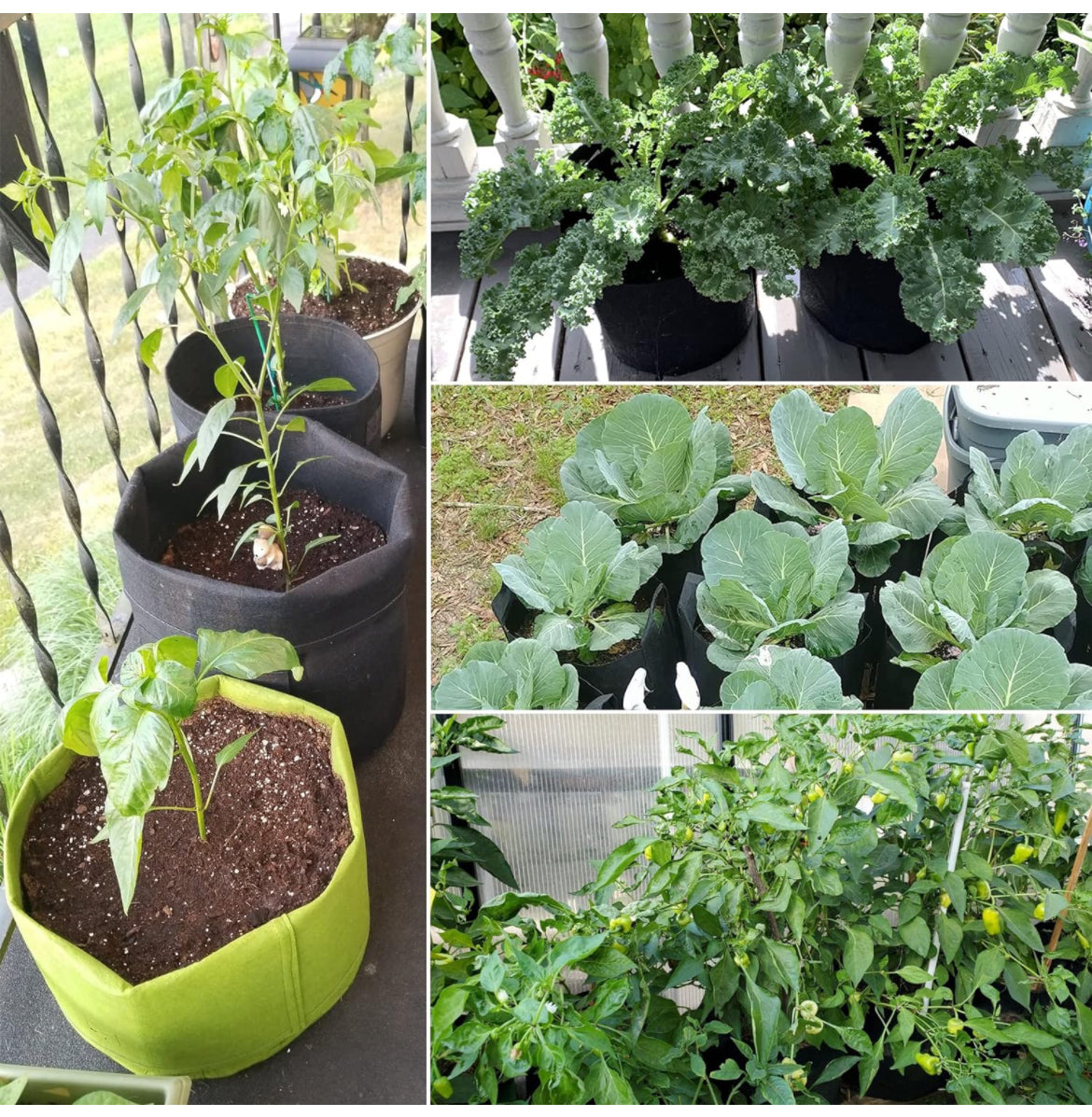 Bolsas de cultivo de papas de 10 galones, paquete de 2 bolsas de cultivo con asas y ventana de cosecha, bolsas de cultivo de tela no tejida gruesa para tomate, verduras, frutas, flores (verde)