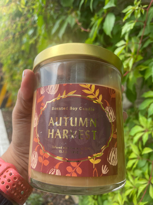 velas de soja perfumadas Opalhouse Autumn Harvest 4,1 OZ