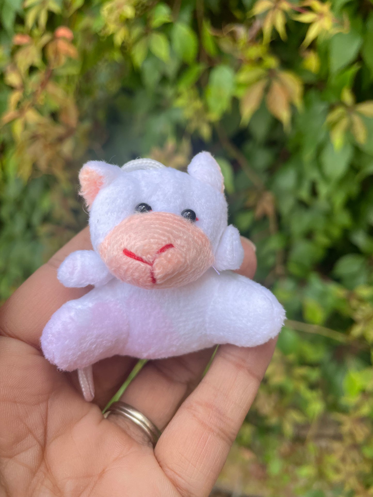 Set de 46 mini peluches - ideal para sorpresa , recuerdo