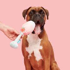 Bark's Rosé Chompagne Flauta Día de San Valentín Squeaky Peluche para perro